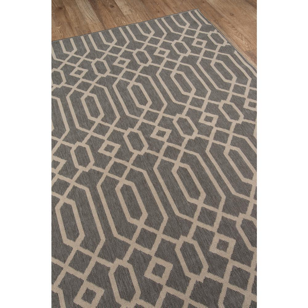 Baja Area Rug